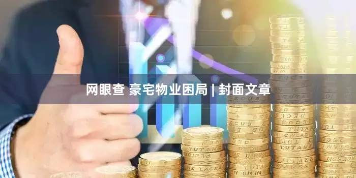 网眼查 豪宅物业困局 | 封面文章