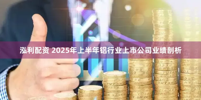 泓利配资 2025年上半年铝行业上市公司业绩剖析