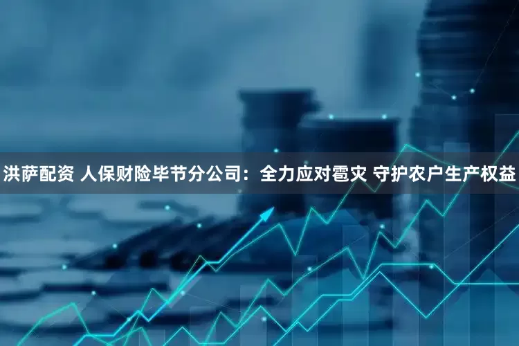 洪萨配资 人保财险毕节分公司：全力应对雹灾 守护农户生产权益